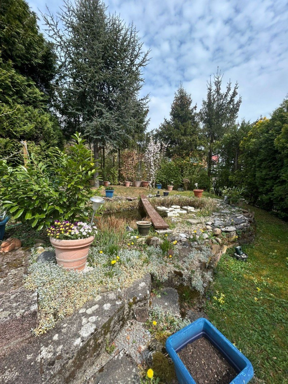 Gartenasicht Einfamilienhaus Elztal