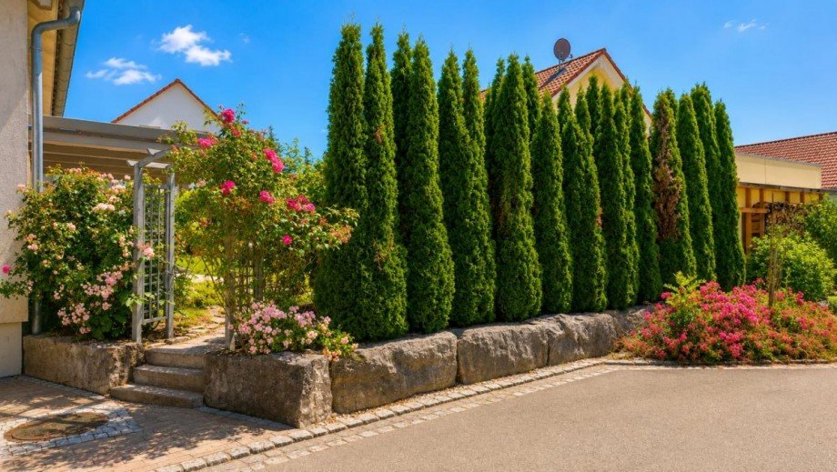 Gartensicht Strasse Einfamilienhaus Jagsthausen