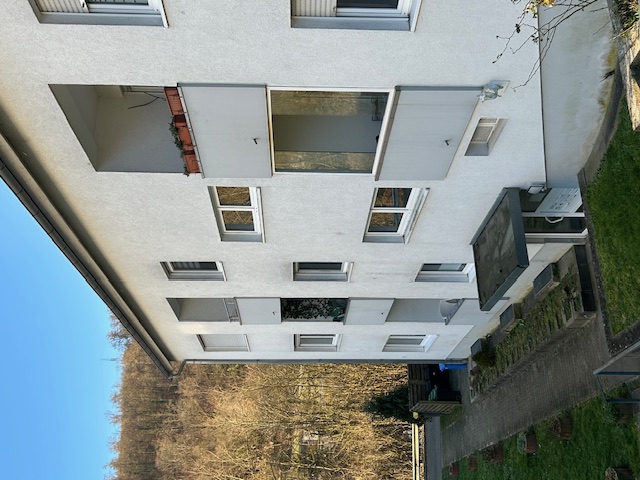 Hausansicht Etagenwohnung Neckarzimmern