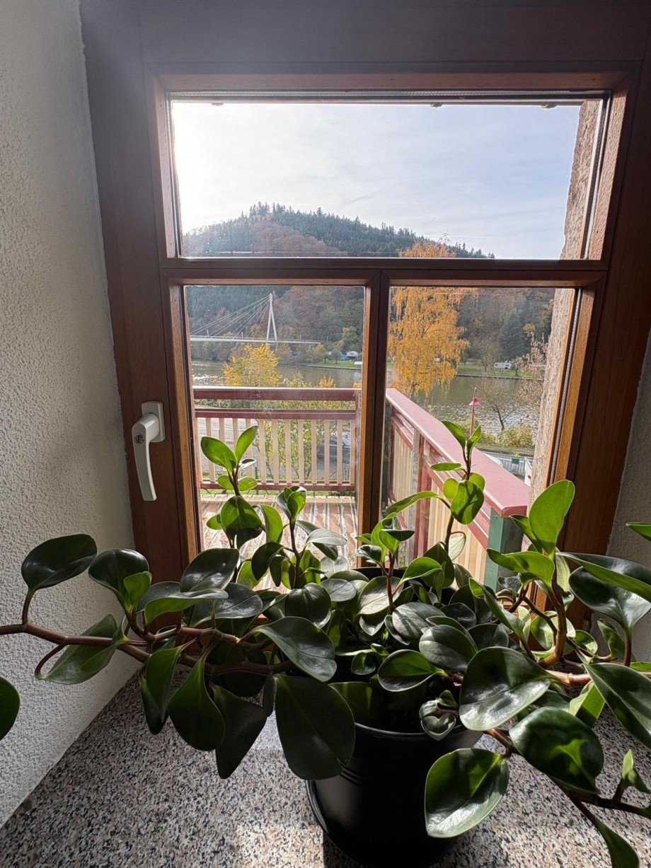 Aussicht Einfamilienhaus Zwingenberg